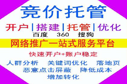 百度推广实战攻略：案例与技巧